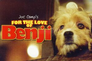 Dog Movie on Netflix - For The Love Of Benji (1977)